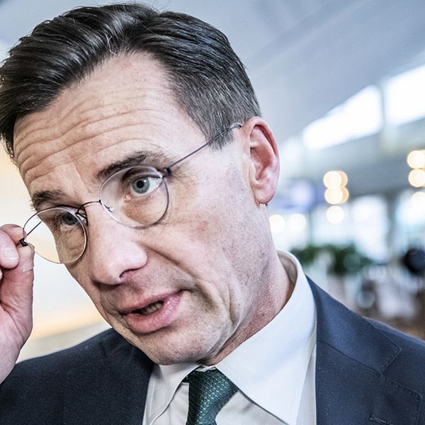 Ulf Kristersson, partiledare för Moderaterna, menar att Sverigedemokraterna går över gränsen i sin kritik mot public service.