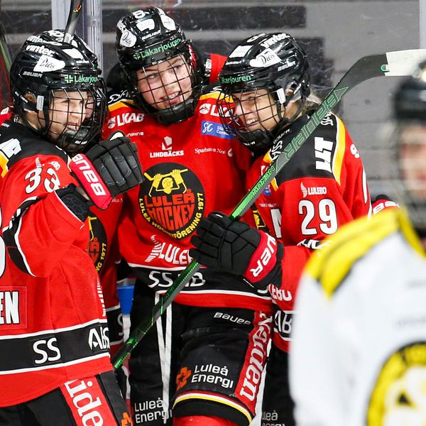Luleå är klar för final mot HV71