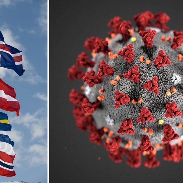 Skillnaderna mellan hur myndigheterna i respektive nordiskt land hanterar coronaviruset är små.