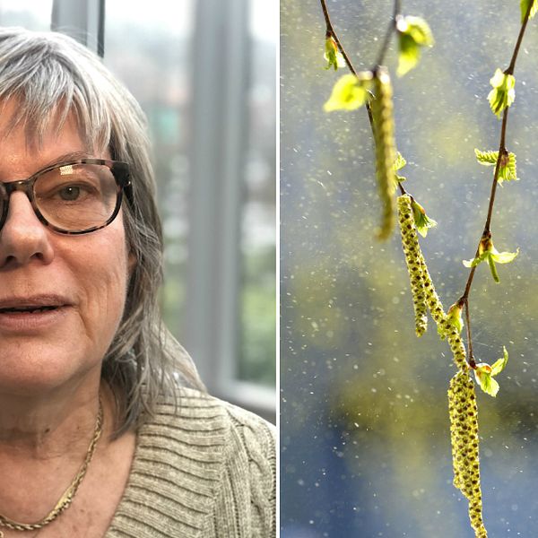 Åslög Dahl, forskare på Göteborgs universitet, och en bild på pollen