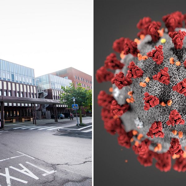 Blekingesjukhusets entré i Karlskrona och en modell av coronaviruset
