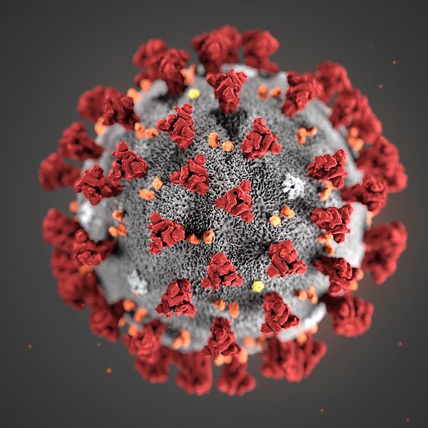En modell av coronaviruset.