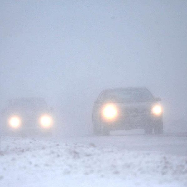 Bilar i snö och dimma
