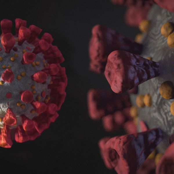 Grafiska bilder på koronavirus i förstoring.