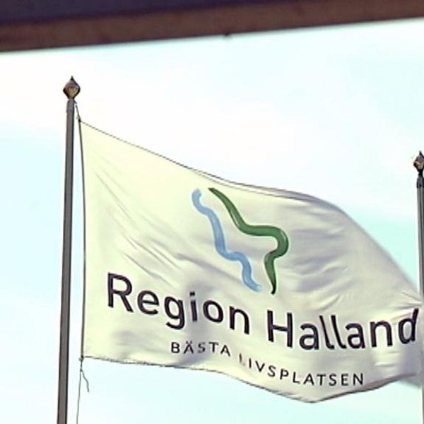 Flagga med texten Region Halland.