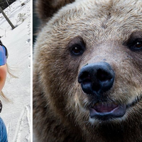 selfie med Stina Nilsson, björnspår i snön i bakgrunden, samt genrebild på en björn