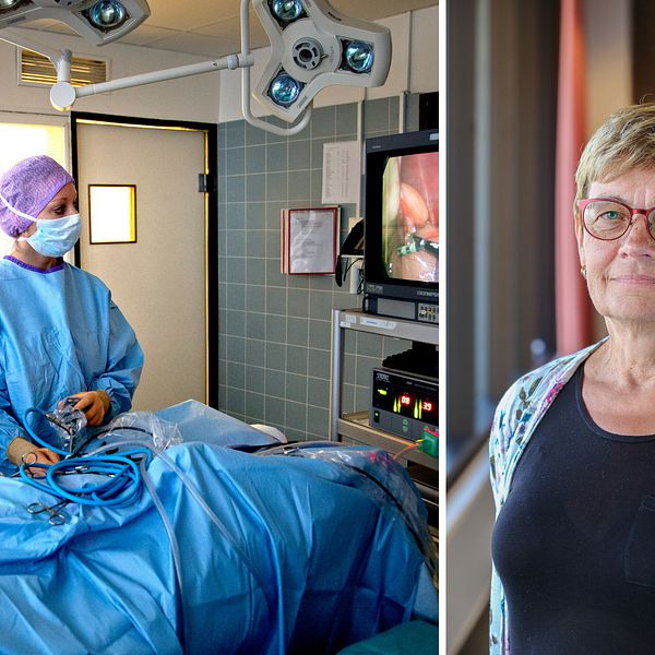 Till vänster en bild från intensivvård och till höger en bild på Kerstin Vikman som är kvalitetschef för Distriktsveterinärerna.