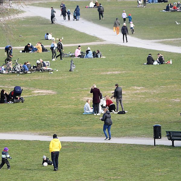 Grupper av människor vistas i Rålambshovsparken i Stockholm i april 2020.
