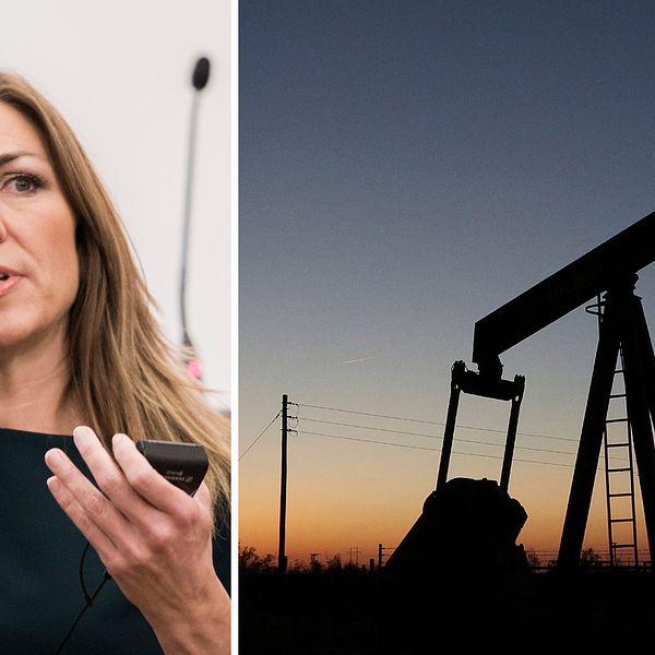 ”Vi kan förväntas oss att oljepriset kan ligga på låga nivåer ett tag”, säger Thina Saltvedt (t.v), oljeanalytiker på Nordea, till TT.
