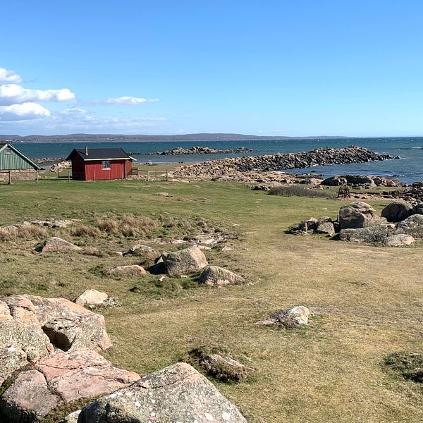 Naturreservatet Grimsholmen i Falkenbergs kommun.