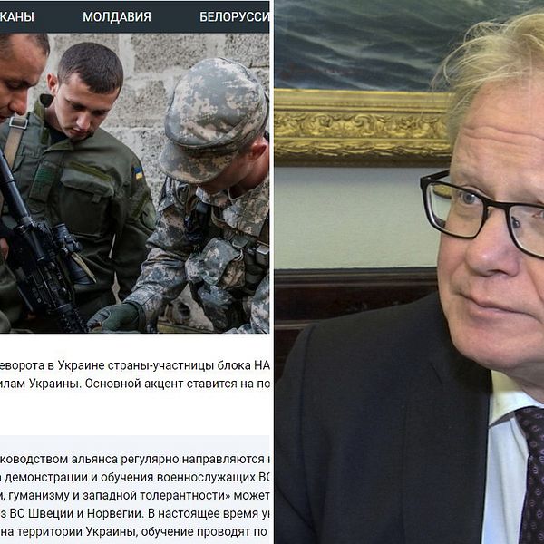 I en artikel på en ryskspråkig sajt hängs tre svenskar med kopplingar till Försvarsmakten ut. Försvarsminister Peter Hultqvist (S) reagerar starkt på artikeln som han menar är ”Helt oacceptabelt”.