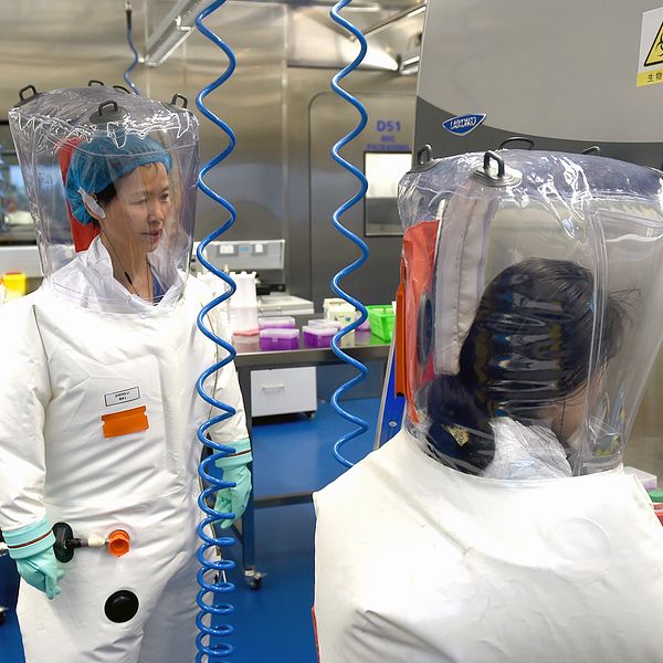 Virologer som arbetar med sjukdomsframkallande virus i Wuhans institut för virologi.