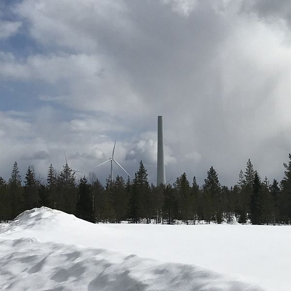 Tornet efter vindkrafthaveriet sticker upp ur en skog.