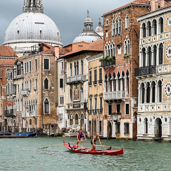 Gondoljärer övar i Venedig.