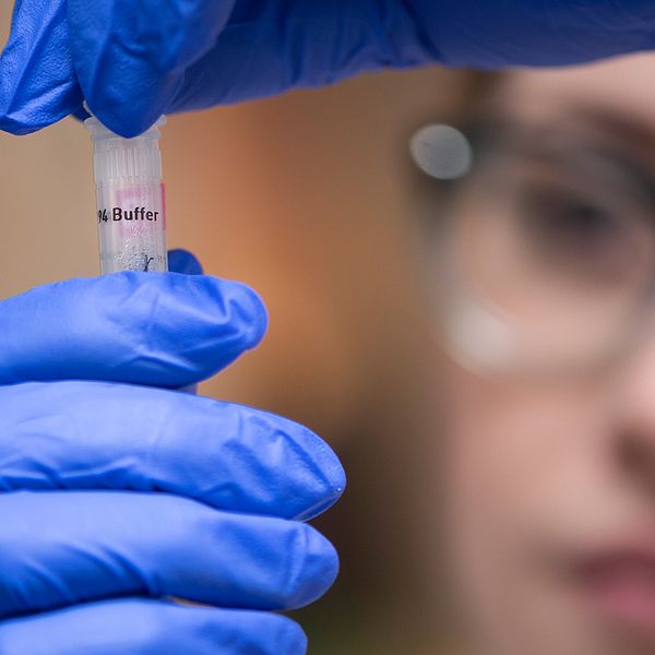 Ett amerikansk bioteknikföretag har fått lovande resultat från en första vaccinstudie för att stoppa coronapandemin, nu går försöken in i fas två.