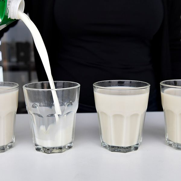Fyra mjölkglas varav ett fylls på från ett mjölkpaket.