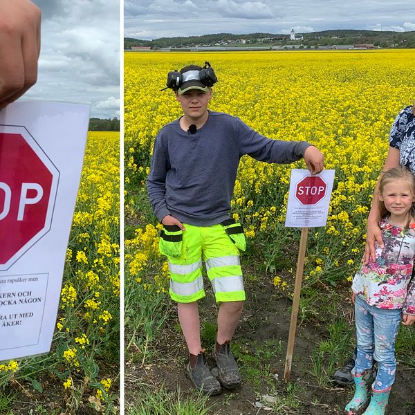 Familjen Eriksson (mamma Linda och barnen John, Alva och Nils) har sin gård i Fjärås, Kungsbacka kommun. De har placerat ut flera stoppskyltar kring det angränsande rapsfältet.