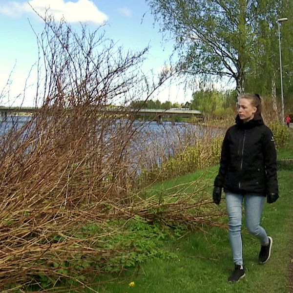 I klippet berättar kommunekolog Linnéa Skarped om problemen i Karlstads kommun.