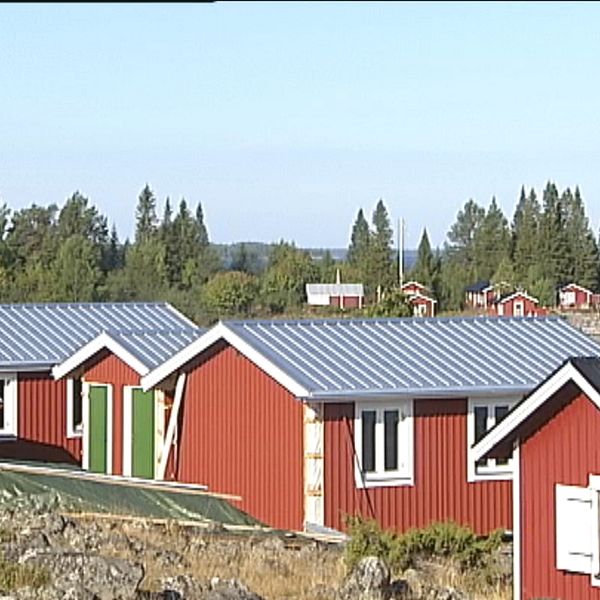 Röda stugor med skog i bakgrunden.