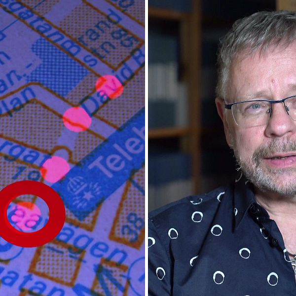 Journalisten och författaren Thomas Pettersson pekade 2018 i magasinet Filter ut den så kallade Skandiamannen, Stig Engström, som Olof Palmes mördare.