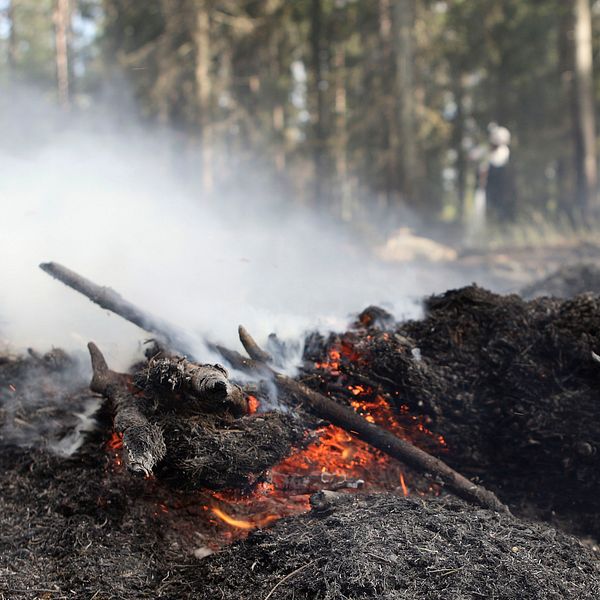 SMHI varnar för extremt stor risk för att bränder sprids i Örebro län.