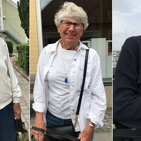 Porträttbilder på Börje Walfridsson, Astrid Brage och Göran Thorén