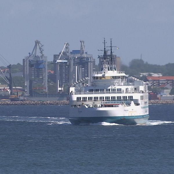 Färja stävar över Öresunds blåa vatten