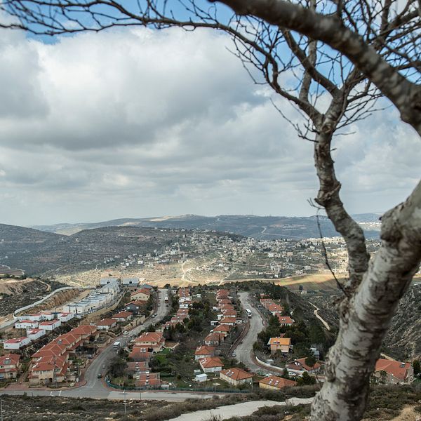 Israels premiärminister Benjamin Netanyahu tog till ett vallöfte att annektera den bördiga Jordandalen på den ockuperade Västbanken, vilket ska ske den 1 juli i år. Bild på bosättningen Eli.