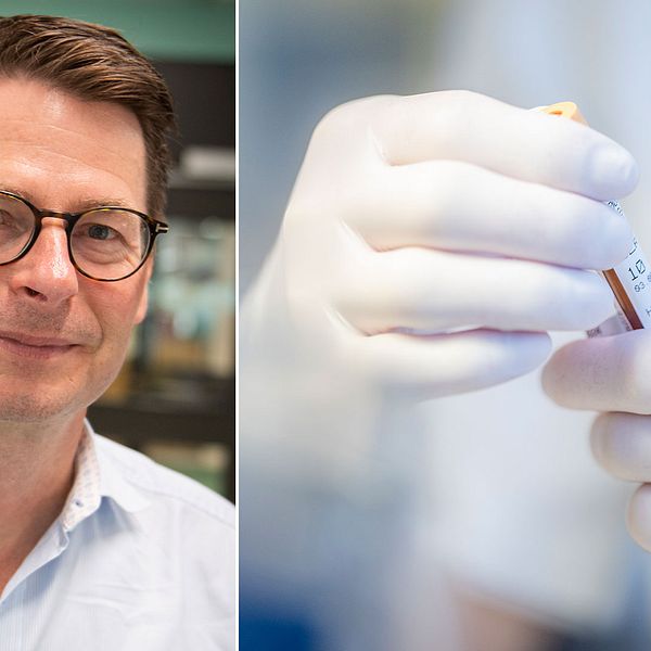 Hans-Gustaf Ljunggren, professor i infektionsmedicin, det kan finnas covidsmittade som inte utvecklar antikroppar men ändå kan ha ett visst skydd mot sjukdomen.