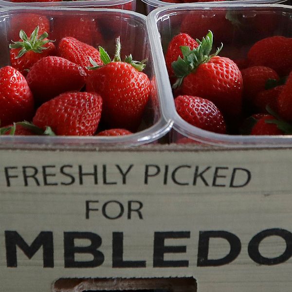 Wimbledon-jordgubbar skänks nu bort till sjukvårdspersonal.