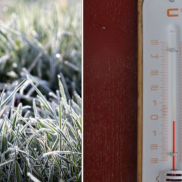 Temperaturen kröp ner till minus 3,3 grader natten till fredagen i Latnivaara.