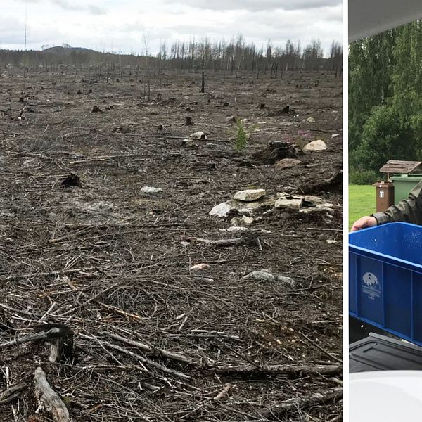 Bilden är ett collage med lodrät avskiljare. Vänster del: Ett grått brandhärjat landskap. Höger del: Foto på Marco Hassoldt som lastar en bil.