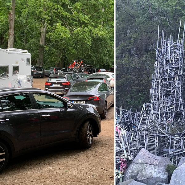 Biltrafik på parkering i Kullabergs naturreservat. Fotomontage med nimis konstverk