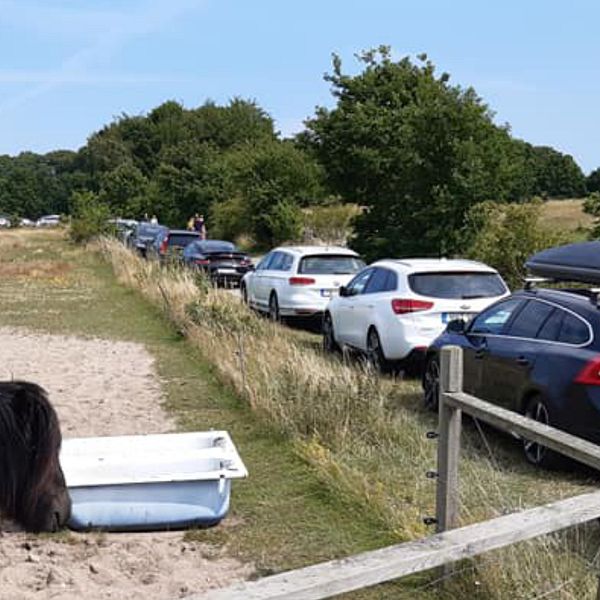 Bilkö mot stranden i Haväng