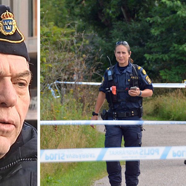 Polisens presstalesperson Hans Lippens vädjar nu allmänheten om tips efter den misstänkta attacken mot en äldre kvinna i Falkenberg.