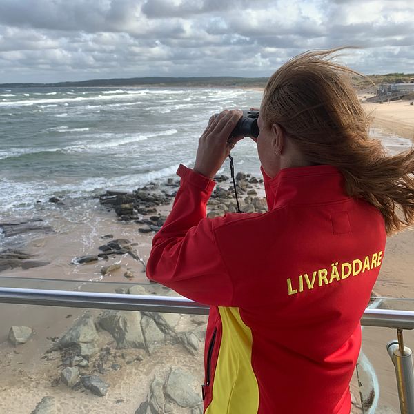 På bilden syns en kvinnlig livräddare med brunt hår kika över Tylösands strand och kust. Hyfsat kraftiga vågor syns.