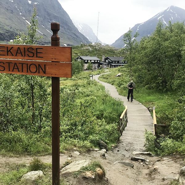 En träskylt där det står Kebnekaise fjällstation och en man som går på spångar. I bakgrunden syns fjäll och flera hus.