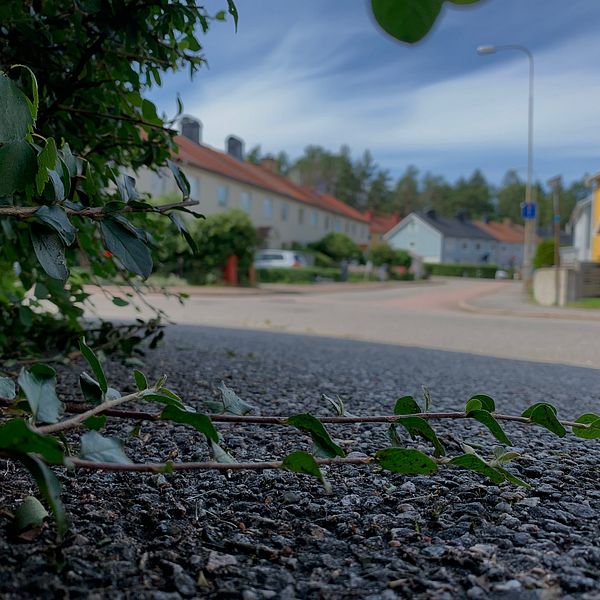 Bild på en gata i Göteborg