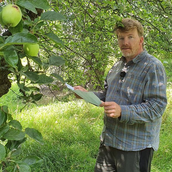 Johan Levander, landskapsingenjör i Norrköping