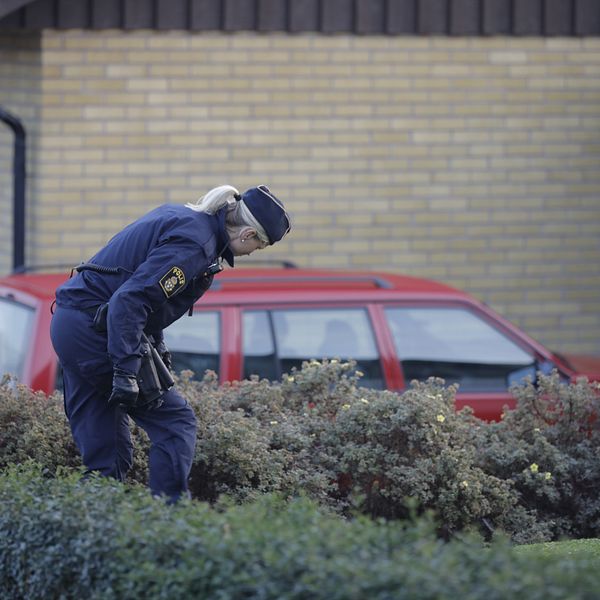 Polis genomsöker en buske. Bilden är tagen vid ett annat tillfälle.