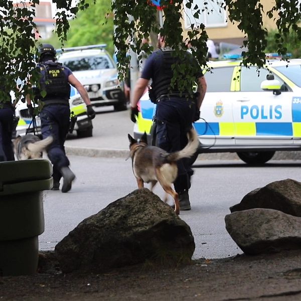 Poliser med polishundar i Rinkeby.