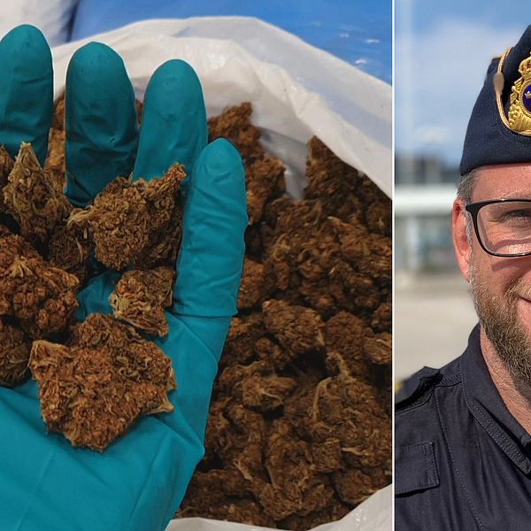 En del av det beslag på 150 kilo cannabis som tullen gjorde i Helsingborg under första halvan av 2020. Tullverkets biträdande gränsskyddschef Martin Petersson.