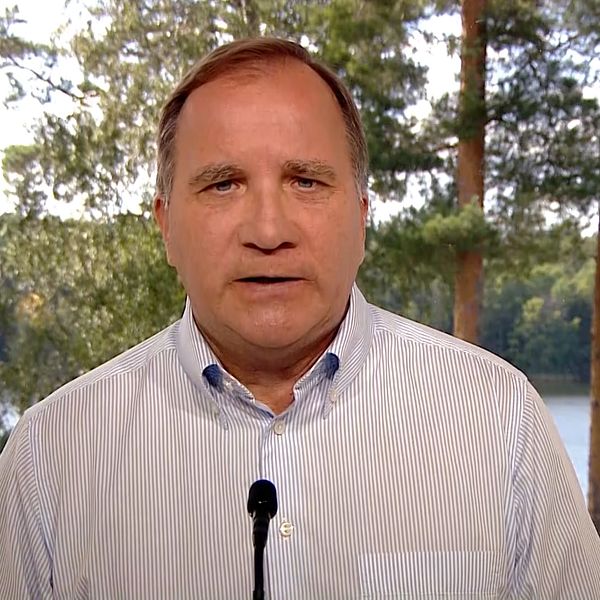 Statsminister Stefan Löfven håller sommartal.