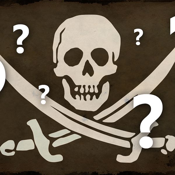 Var är piratrörelsen 2015?
