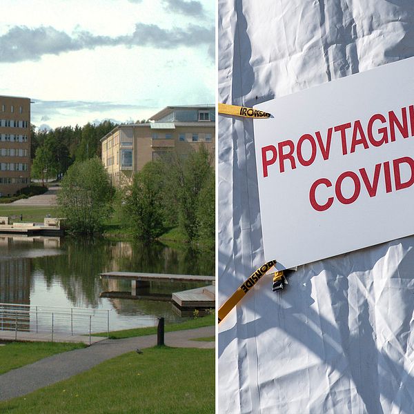 vybild över damm och byggnader på campus i Umeå, samt närbild på skylt för ”provtagning covid”