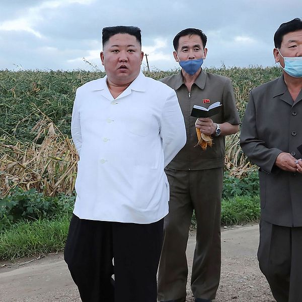 Senaste bilden av Nordkoreas ledare Kim Jong-Un som distribuerats av statliga nyhetsbyrån KCNA. Kim uppges besöka Södra Hwanghae-provinsen som drabbats av tyfoner.