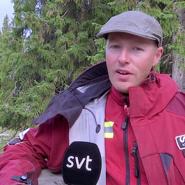 en man intervjuas vid hägnet, skog i bakgrund