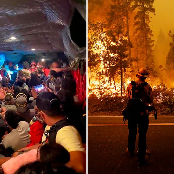 Över 200 personer evakuerades i militärhelikoptrar från ett campingområde i Kalifornien. Bilden visar en av militärhelikoptrarna under evakueringen, samt två brandmän vid Creek-branden.