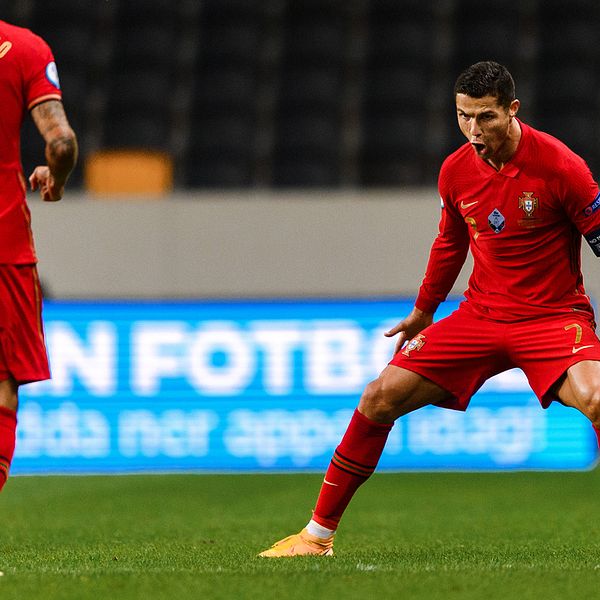 Ronaldo jublar efter att ha gjort 1-0 mot Sverige.