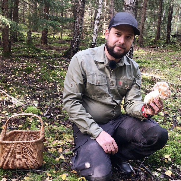 Aleks Tudzarovski sitter på huk bredvid sin svampkorg i skogen. I handen håller han en riktigt angripen stensopp.